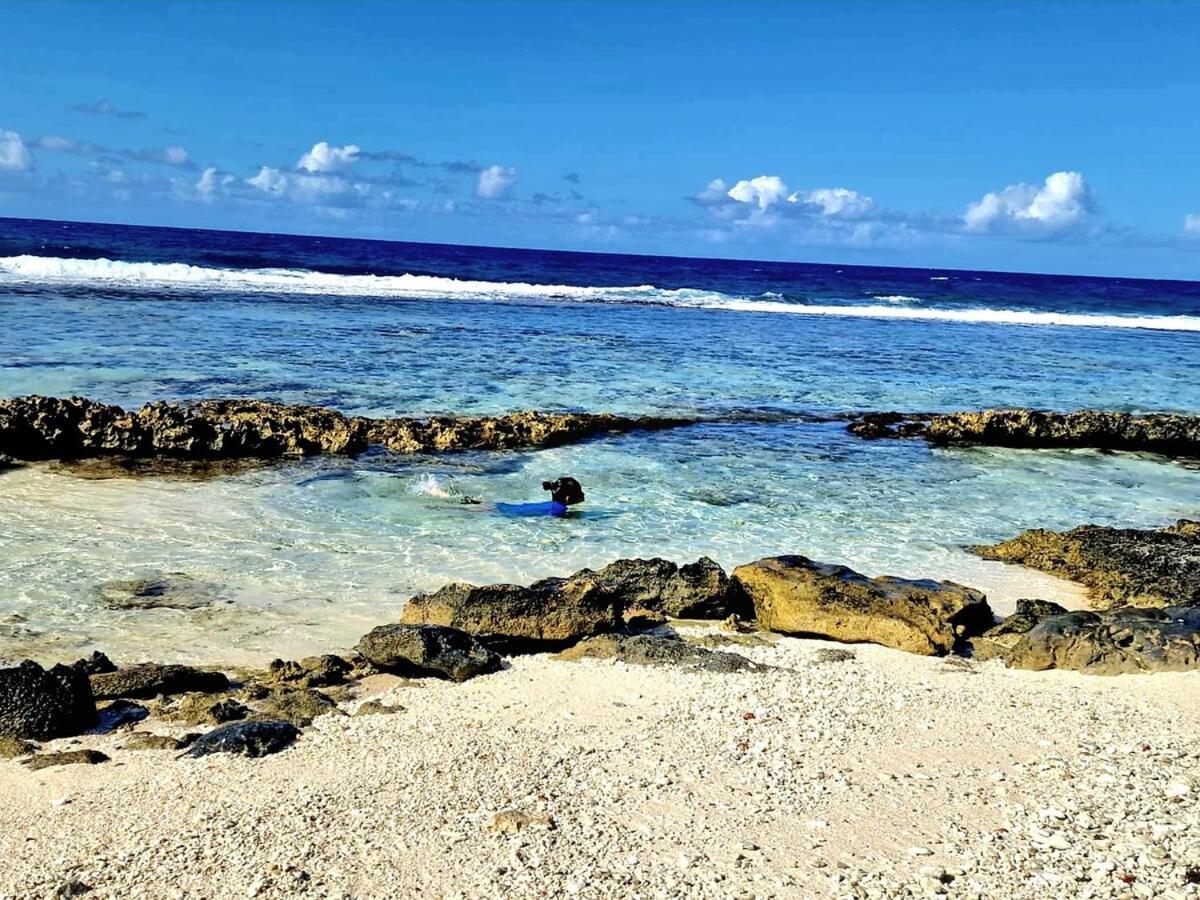 Un Ecrin De Paix Au Soleil Et Proche De La Mer モーレア島 エクステリア 写真